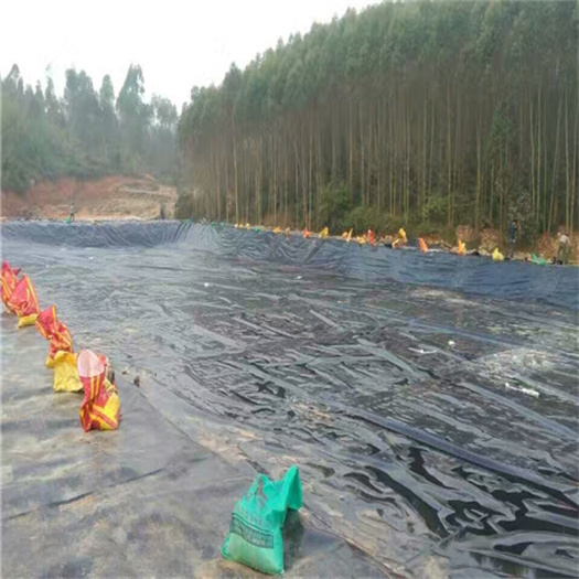 抗老化鱼塘防渗膜规格-养殖防渗膜厚度_800x800.jpg